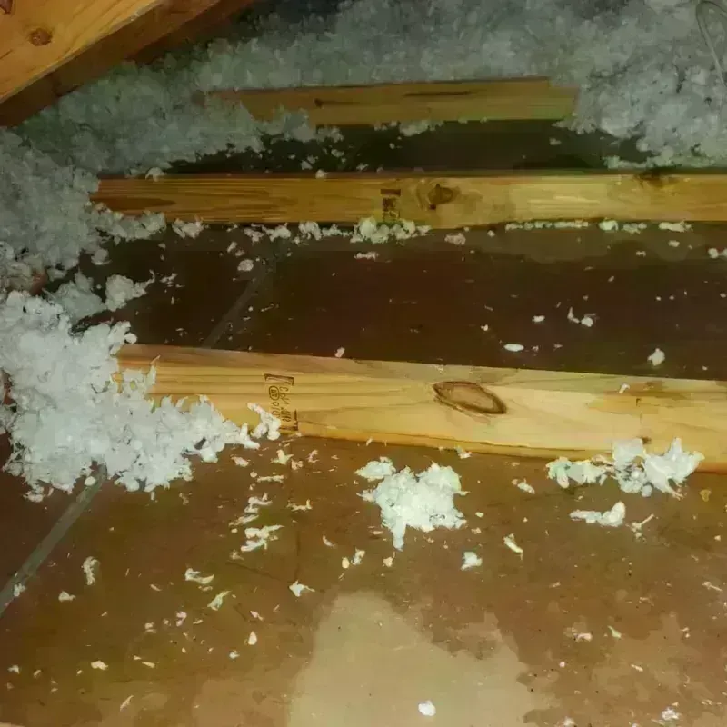 Attic Water Damage in Orange County, NY