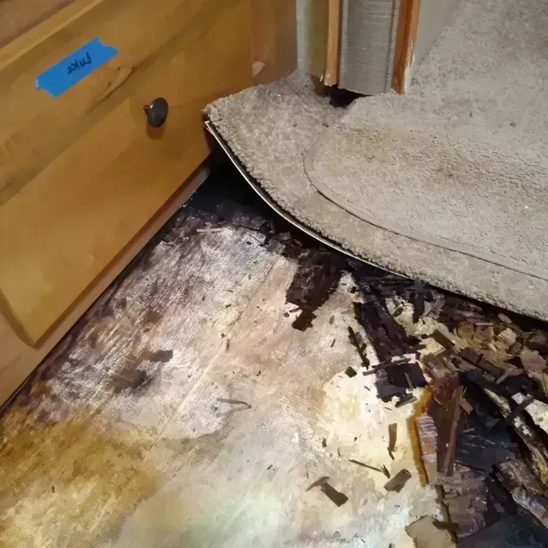 Best Wood Floor Water Damage Service in Orange County, NY